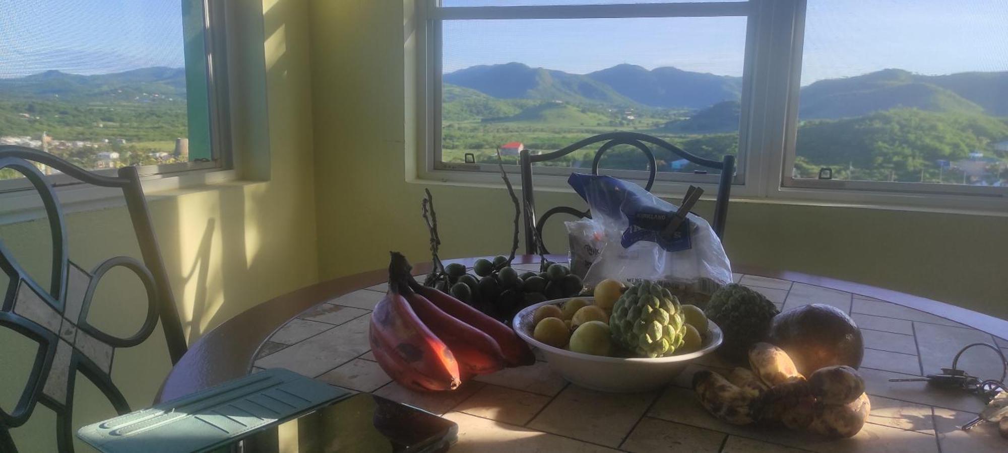 Zeus Estate Guesthouse St. John's Εξωτερικό φωτογραφία